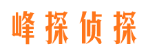 巨野侦探